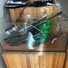 水槽　熱帯魚　飼育スターターセットの画像