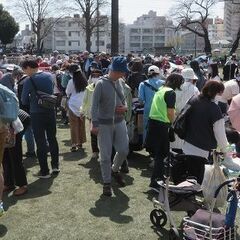 志村坂上地区桜まつりフリーマーケット出店者募集 - 板橋区
