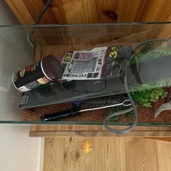 水槽　熱帯魚　飼育スターターセットの画像