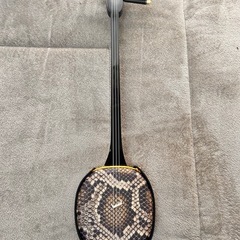 【お引き渡し者決定】【美品•新品同様】沖縄三線　ソフトケース　三線教本セットの画像