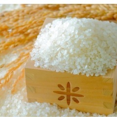 お米 1kg 限定