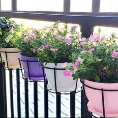 【4個セット】shein 丸型金属製ハンギングレール プランター