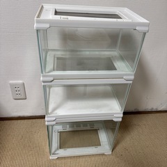 GEX レプテリアゲージ