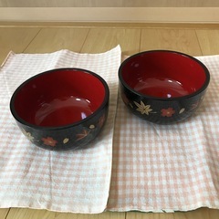 御椀　丼　どんぶり皿　2個