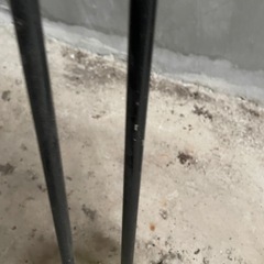 ストックの画像