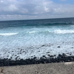 釣り仲間募集