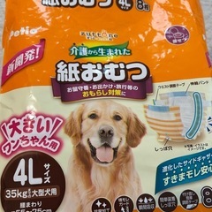 大型犬　女の子　マナーパンツ4枚