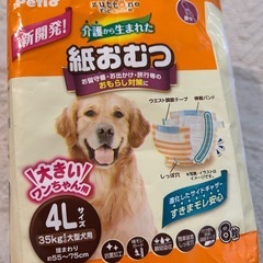 大型犬　女の子　マナーパンツ4枚の画像