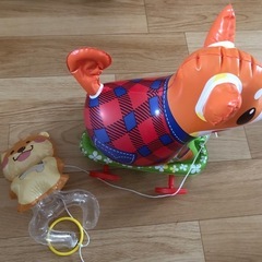 お散歩コロコロの画像