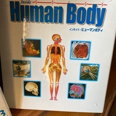 ヒューマンボディ全巻の画像