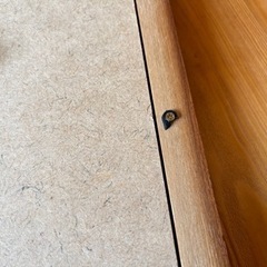 フォトフレーム
の画像