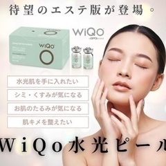 ワイコ・オー導入