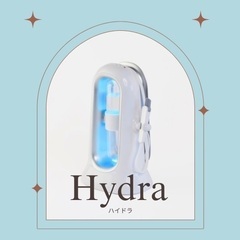 ハイドラ導入