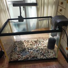 金魚、メダカ用　水槽、フィルター、ライト