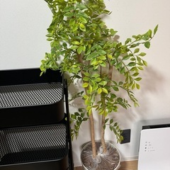 フェイク　観葉植物の画像
