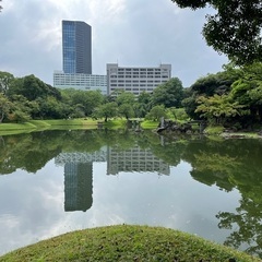 台東区湿地帯散歩 − 東京都