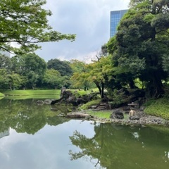 台東区湿地帯散歩 - 友達