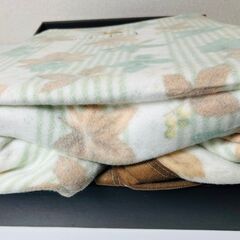 【未使用】　綿　毛布　シングルサイズ　通年　　【j254】の画像