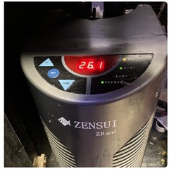 海水魚60cmオーバーフロー水槽セットの画像