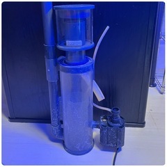 海水魚60cmオーバーフロー水槽セットの画像