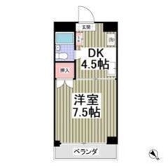 ✨🎶フリーレント1ヶ月付き🎶✨敷金0・礼金0・仲介手数料0💕大神...