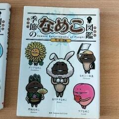 0212-273 本　なめこ