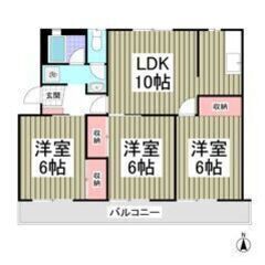 ✨🎶フリーレント1ヶ月付き🎶✨54.22㎡の3LDK❕😍✨賃料5...