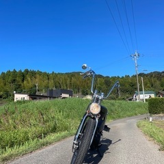 カブチョッパーの画像