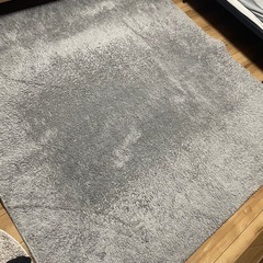 ラグマット　ほこりが取れやすい洗えるラグ(Nクリーンウォッシュ ...
