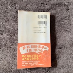 リハビリテーションのための解剖学の画像
