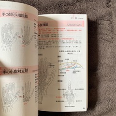 リハビリテーションのための解剖学の画像