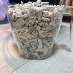 (2/22値下げ)サンゴXL1L強