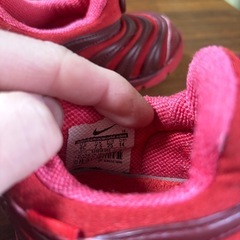 NIKE ダイナモフリーの画像
