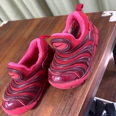 NIKE ダイナモフリー