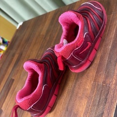 NIKE ダイナモフリーの画像
