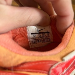 NIKE ダイナモフリーの画像