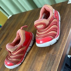 NIKE ダイナモフリーの画像