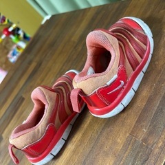 NIKE ダイナモフリーの画像