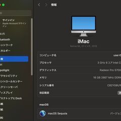 iMac（Retina 5K,27インチ,2019）1.03TB/16GB〈MRQY2J/A〉⑤の画像