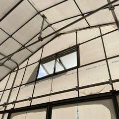 中古　業務用　大型ビニールハウスの画像