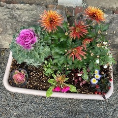 お花の寄せ植え