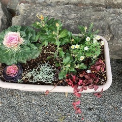 お花の寄せ植えの画像