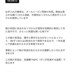 オールシーズン掛布団  2枚合わせの画像