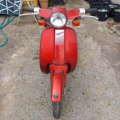 ホンダ、タクティ、旧車、原付５０