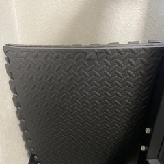 懸垂マシーンの画像