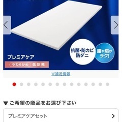 ［お譲り先決定］トゥルースリーパー　低反発敷布団　シングルの画像