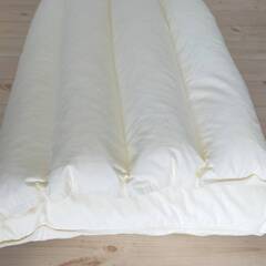 ホテル仕様二つ折り重ね枕（丸八真綿）の画像