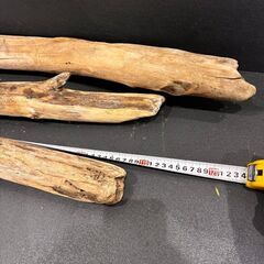 流木　3本セット　希少南アルプス産　ロング　diyの画像