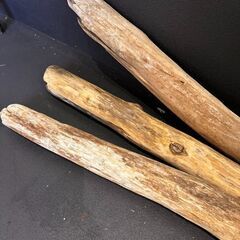 流木　3本セット　希少南アルプス産　ロング　diyの画像