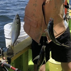 船釣り仲間募集ー！　一緒に美味しい魚釣りませんか🎣🚤 − 埼玉県